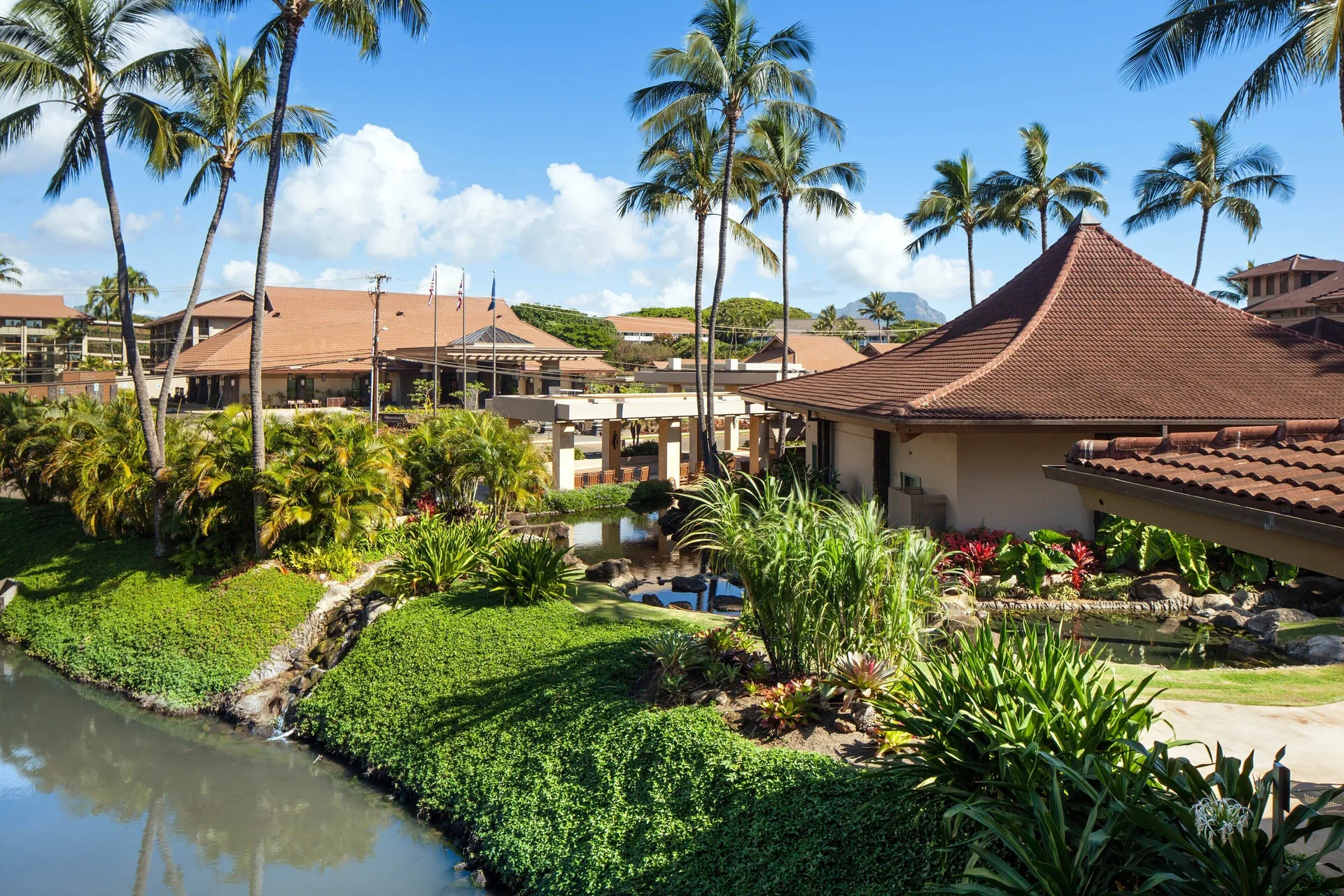 Garden view with palms, ponds, and resort rooftops at Sheraton Kauai Resort.