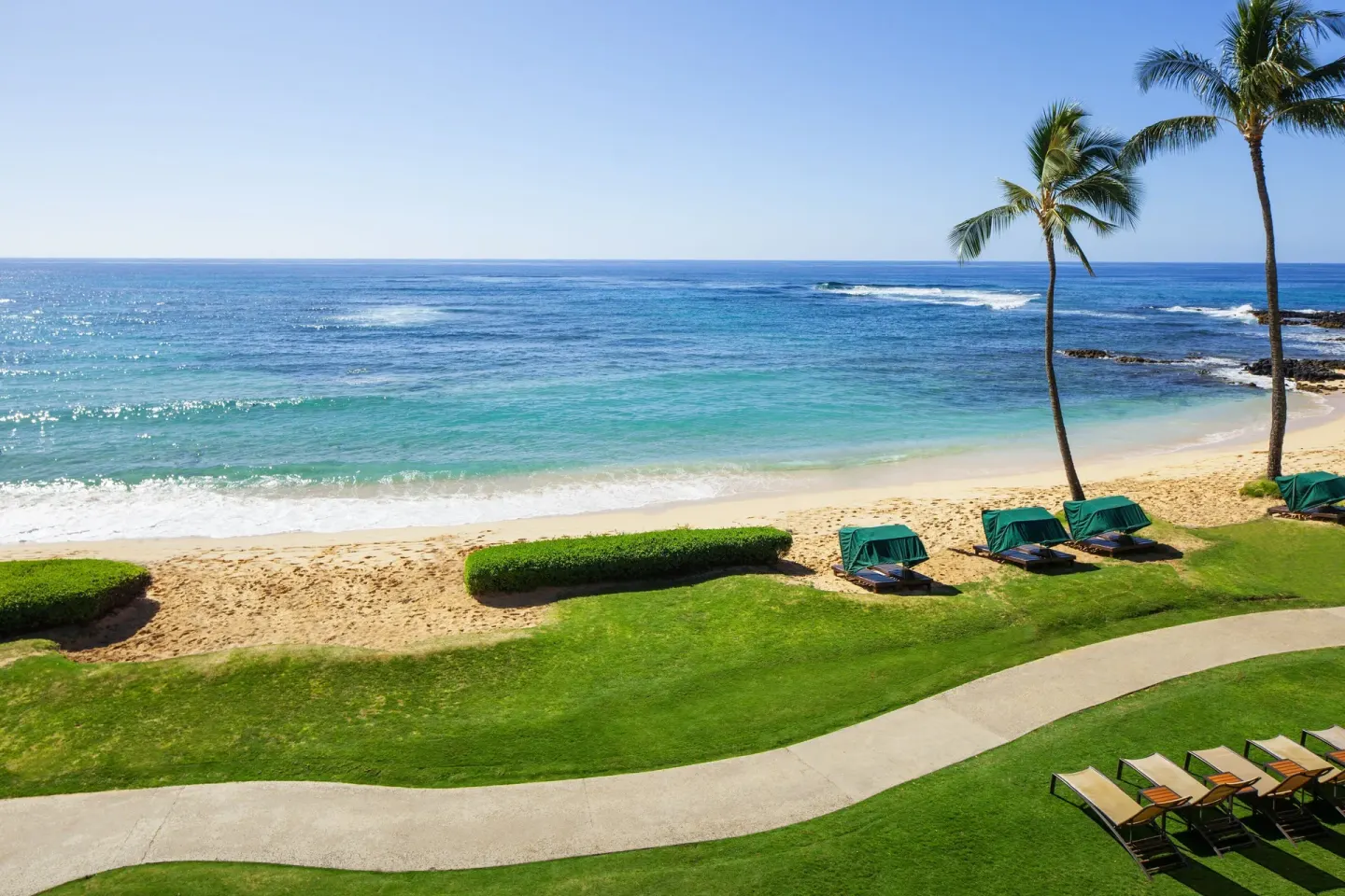 Oceanfront beach and lawn view from Sheraton Kauai Resort with palms and lounge chairs.