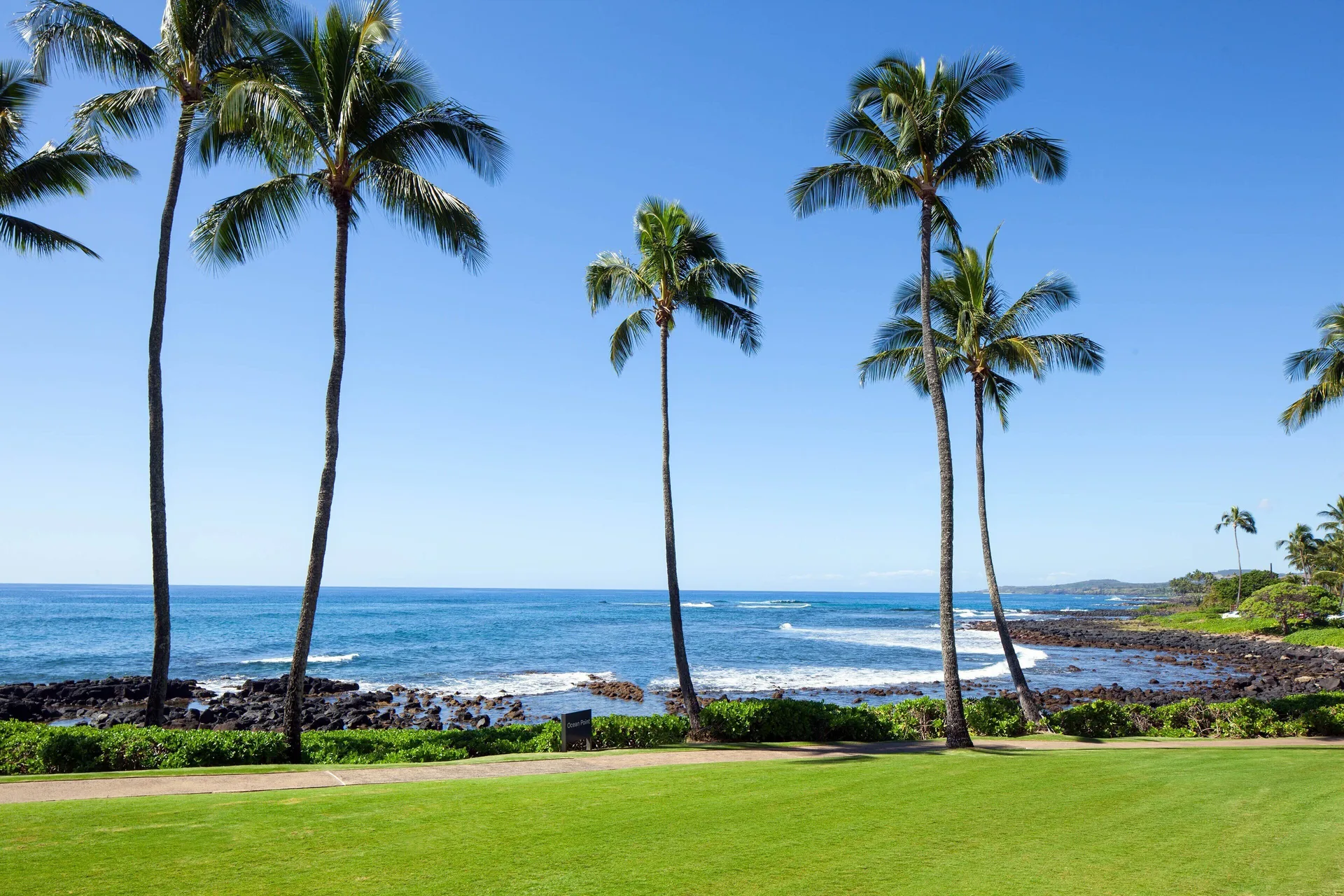 Oceanfront lawn with palm trees and coastline at Sheraton Kauai Resort.