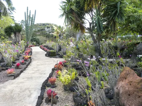 Moir Gardens 15 Min Walk