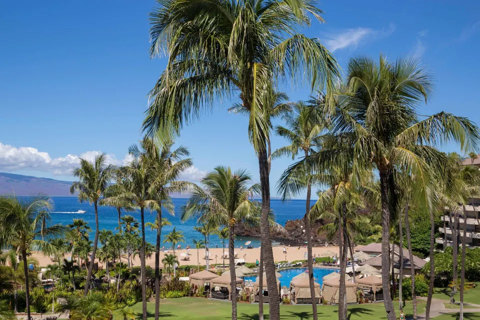 Palm-framed ocean view from the suite at Sheraton Maui Resort & Spa.