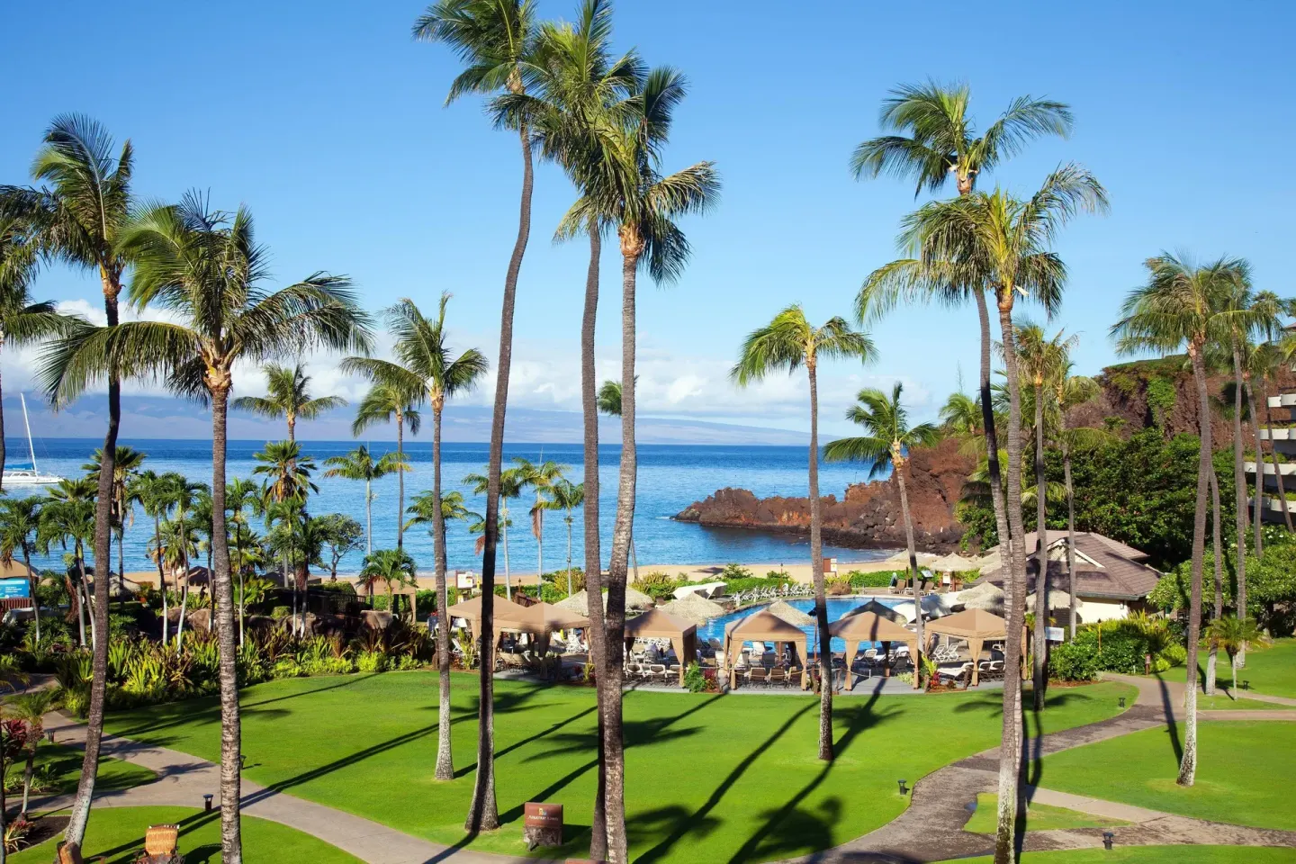 Ocean view with palms, lawn, pool, and beach at Sheraton Maui Resort & Spa.