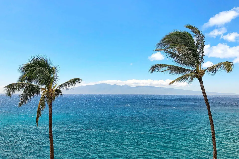 Moana Oceanfront view of turquoise water and palm trees at Sheraton Maui Resort & Spa.