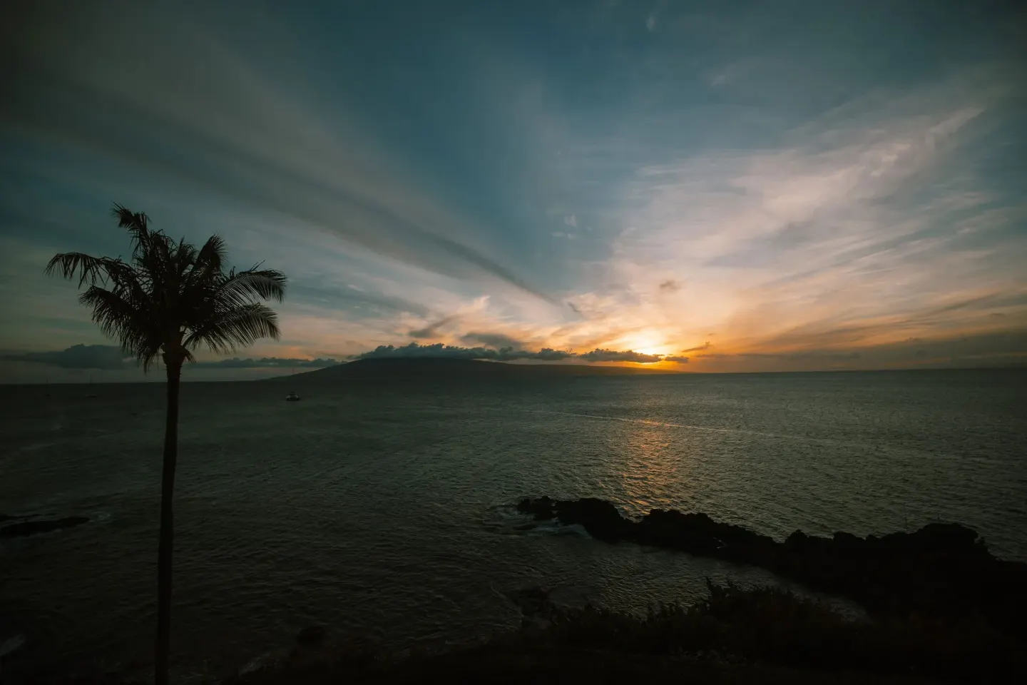 Ocean sunset with palm silhouette from Moana Oceanfront at Sheraton Maui Resort & Spa.