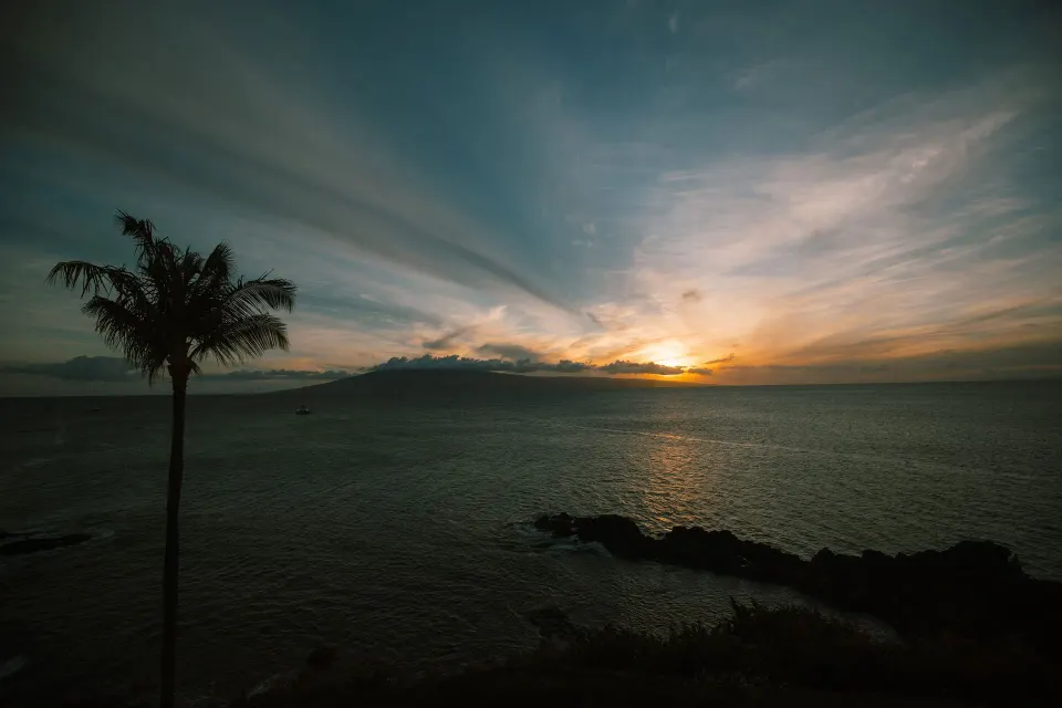 Ocean sunset with palm silhouette from Moana Oceanfront at Sheraton Maui Resort & Spa.