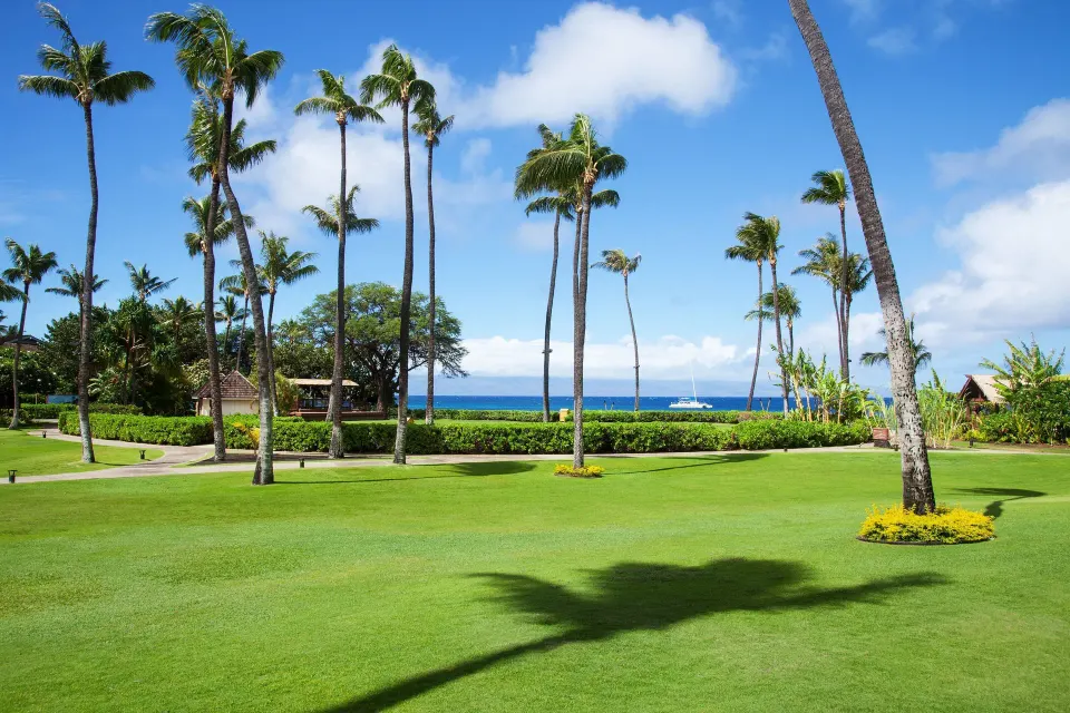Ocean-view lawn with palms outside the Ohana Suite at Sheraton Maui Resort & Spa.
