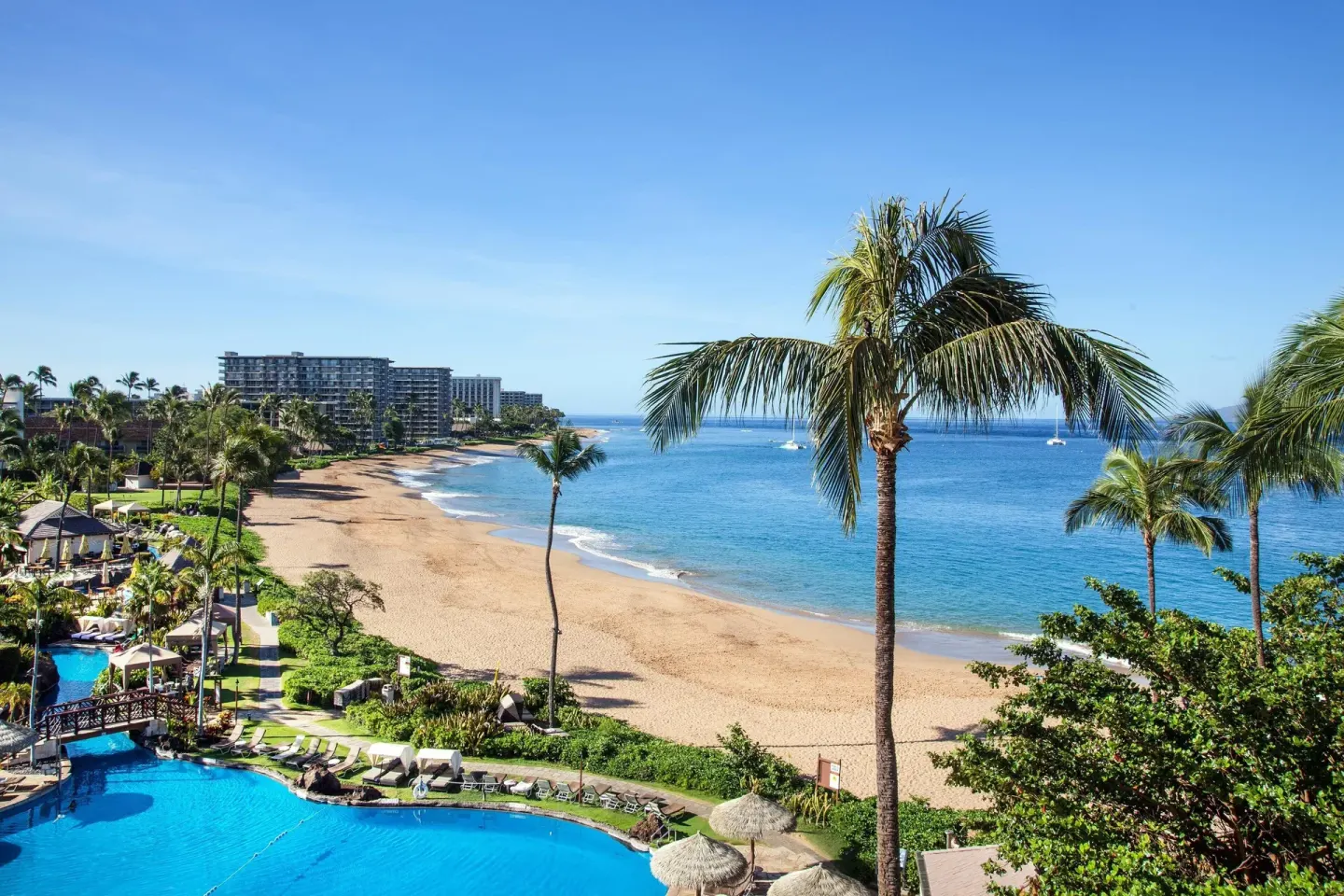 Oceanfront room balcony view of beach, pool, palms, and ocean at Sheraton Maui Resort & Spa