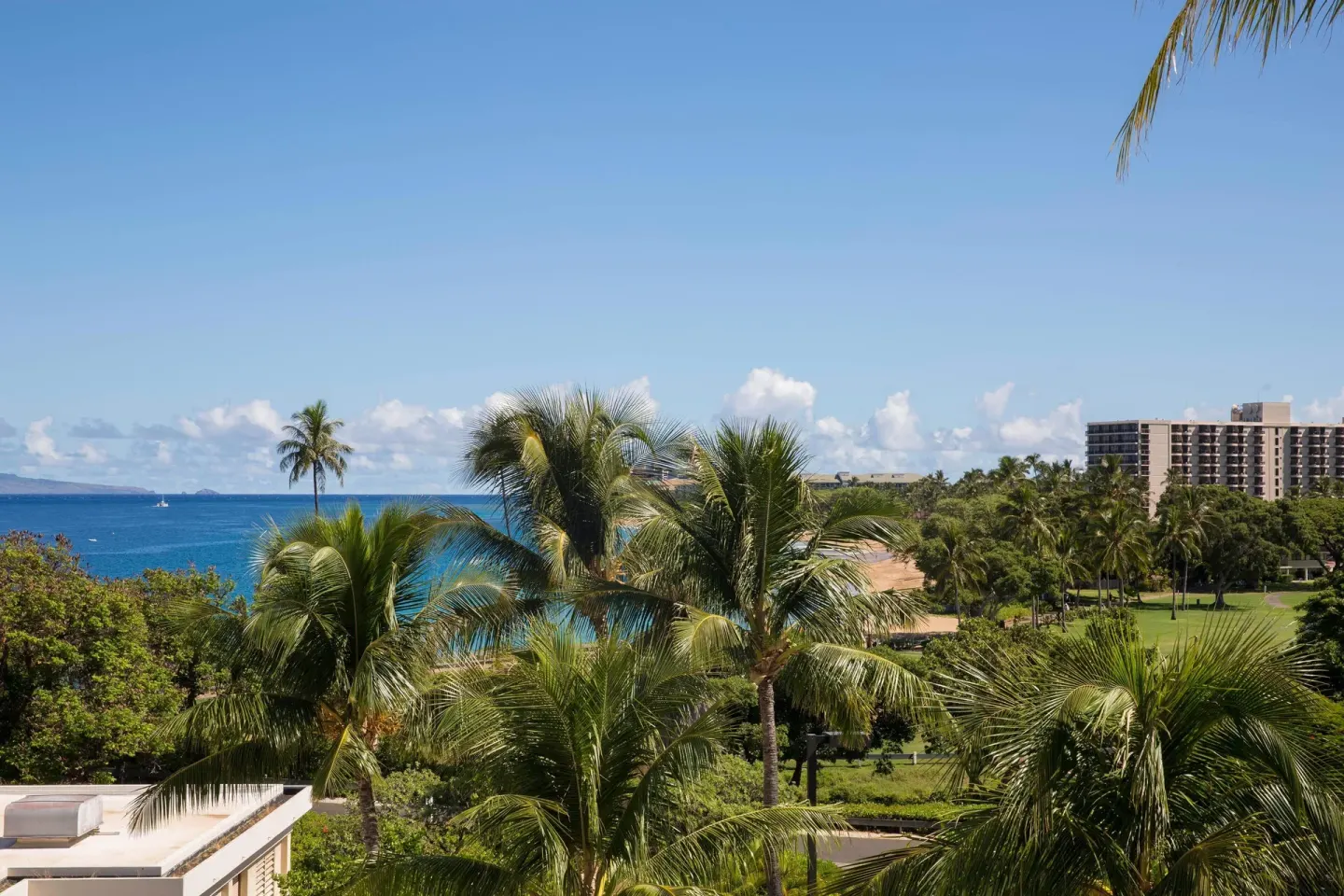 Partial ocean view over palms and resort grounds at Sheraton Maui Resort & Spa.