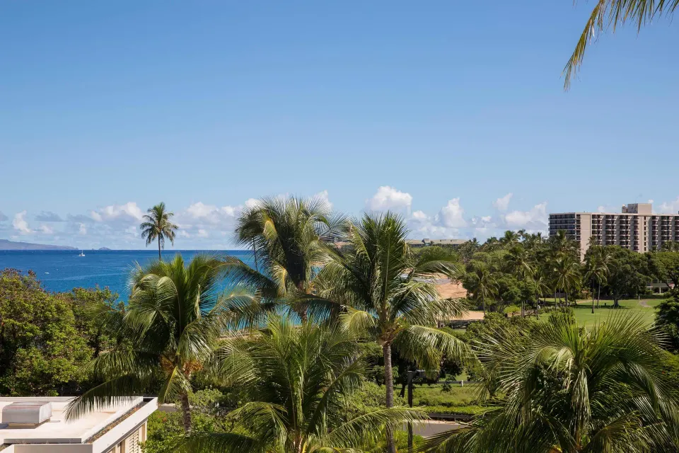 Partial ocean view over palms and resort grounds at Sheraton Maui Resort & Spa.
