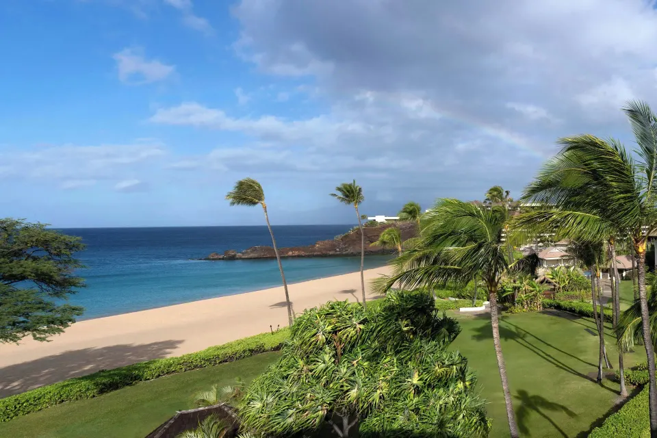 Oceanfront beach and palm view from a suite at Sheraton Maui Resort & Spa.