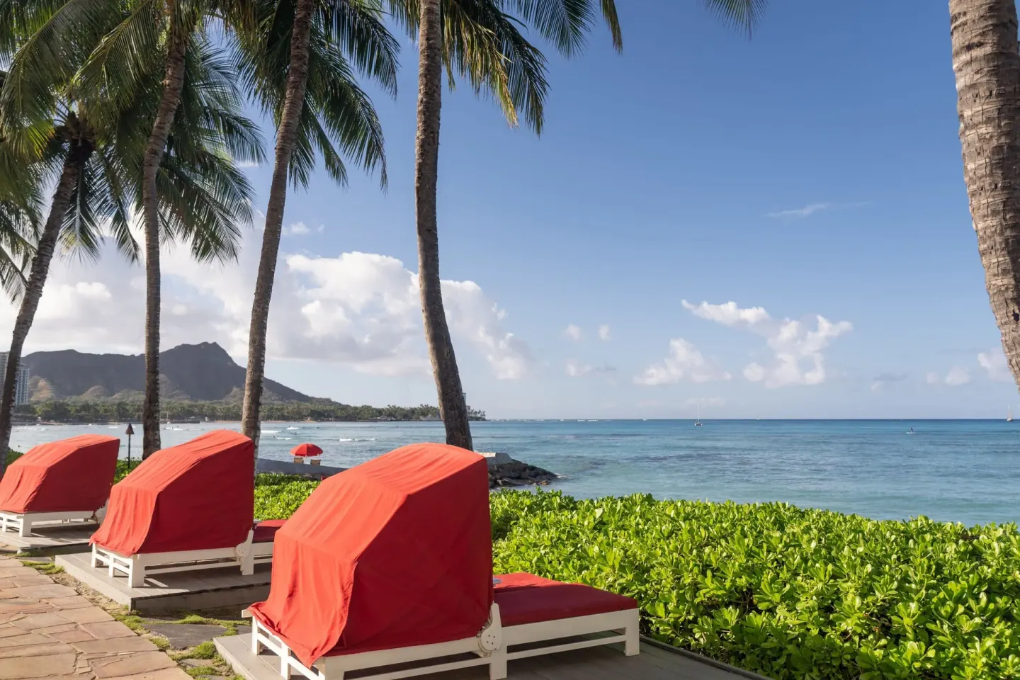 Red oceanfront loungers beneath palm trees at Sheraton Waikiki Beach Resort.