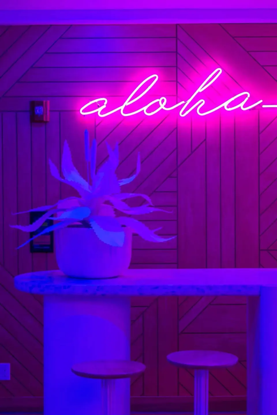 Neon aloha sign over a counter and stools at Shoreline Hotel Waikiki.