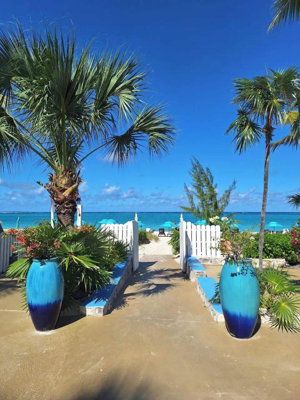 Beach entrance framed by palms and blue planters at Sibonné Beach Hotel.