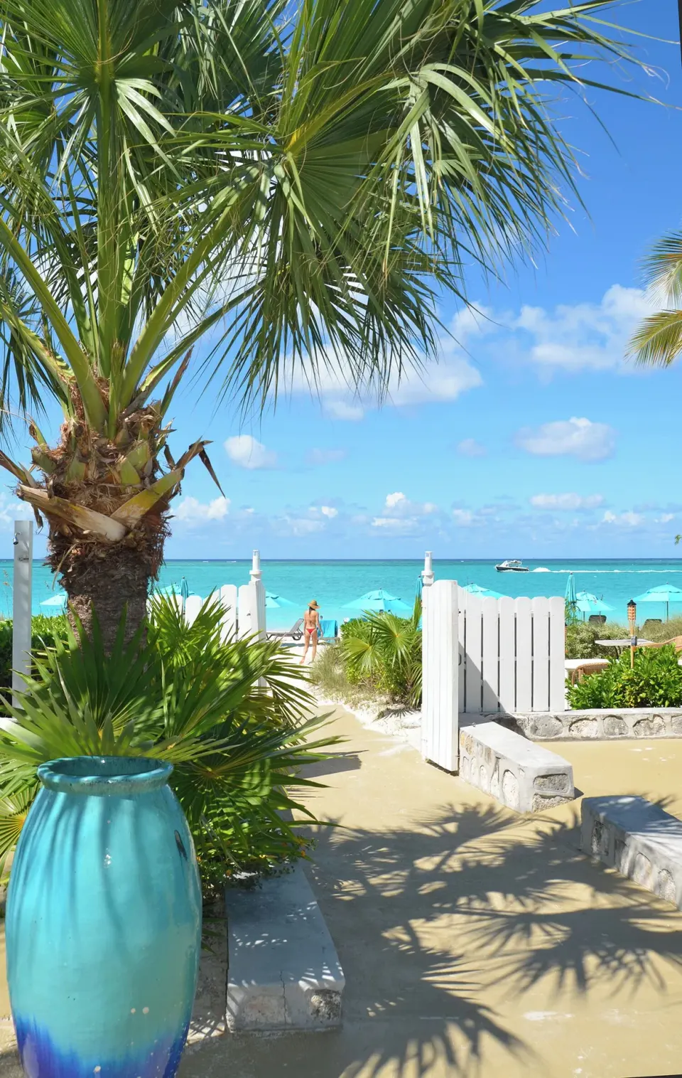 Palm tree, blue vase, and white gate opening toward the beach at Sibonné Beach Hotel.