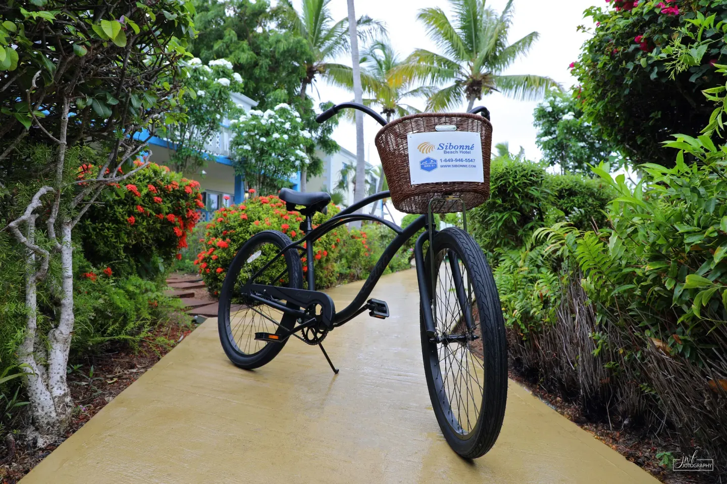 Beach cruiser bicycle on a garden path at Sibonné Beach Hotel.