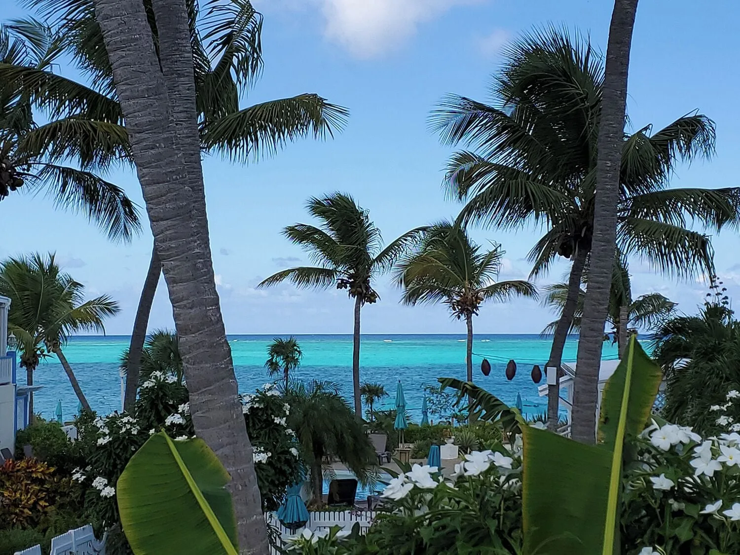 Palm trees and flowering plants overlook turquoise water at Sibonné Beach Hotel.