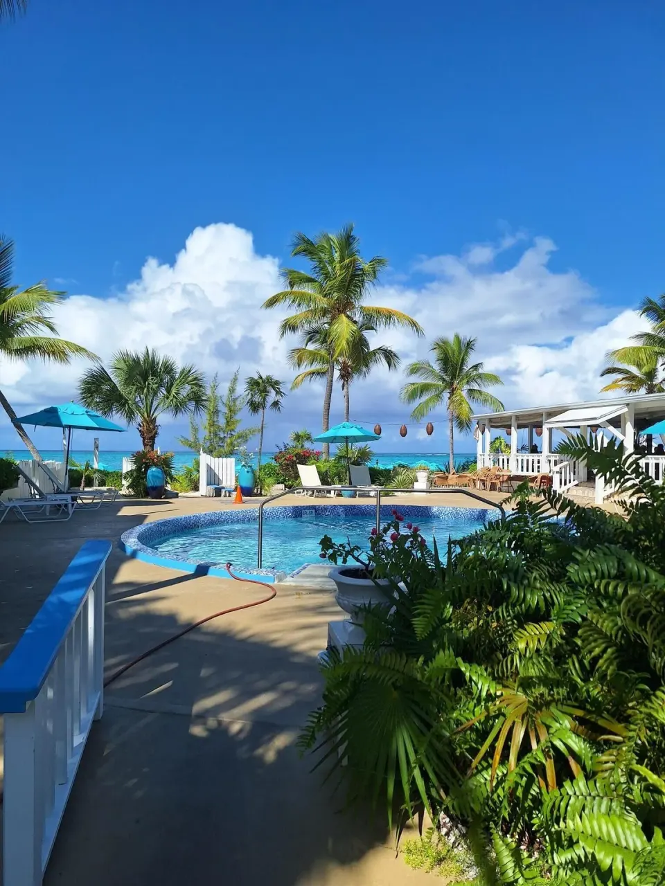 Small pool surrounded by palms and tropical plants at Sibonné Beach Hotel.