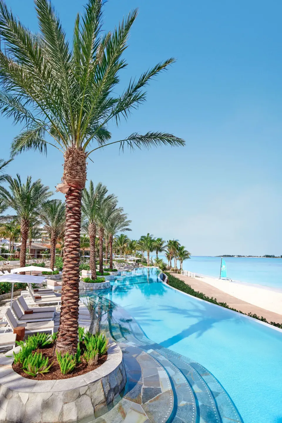 A beachfront pool curves past tall palm trees and lounge chairs at SLS Baha Mar.