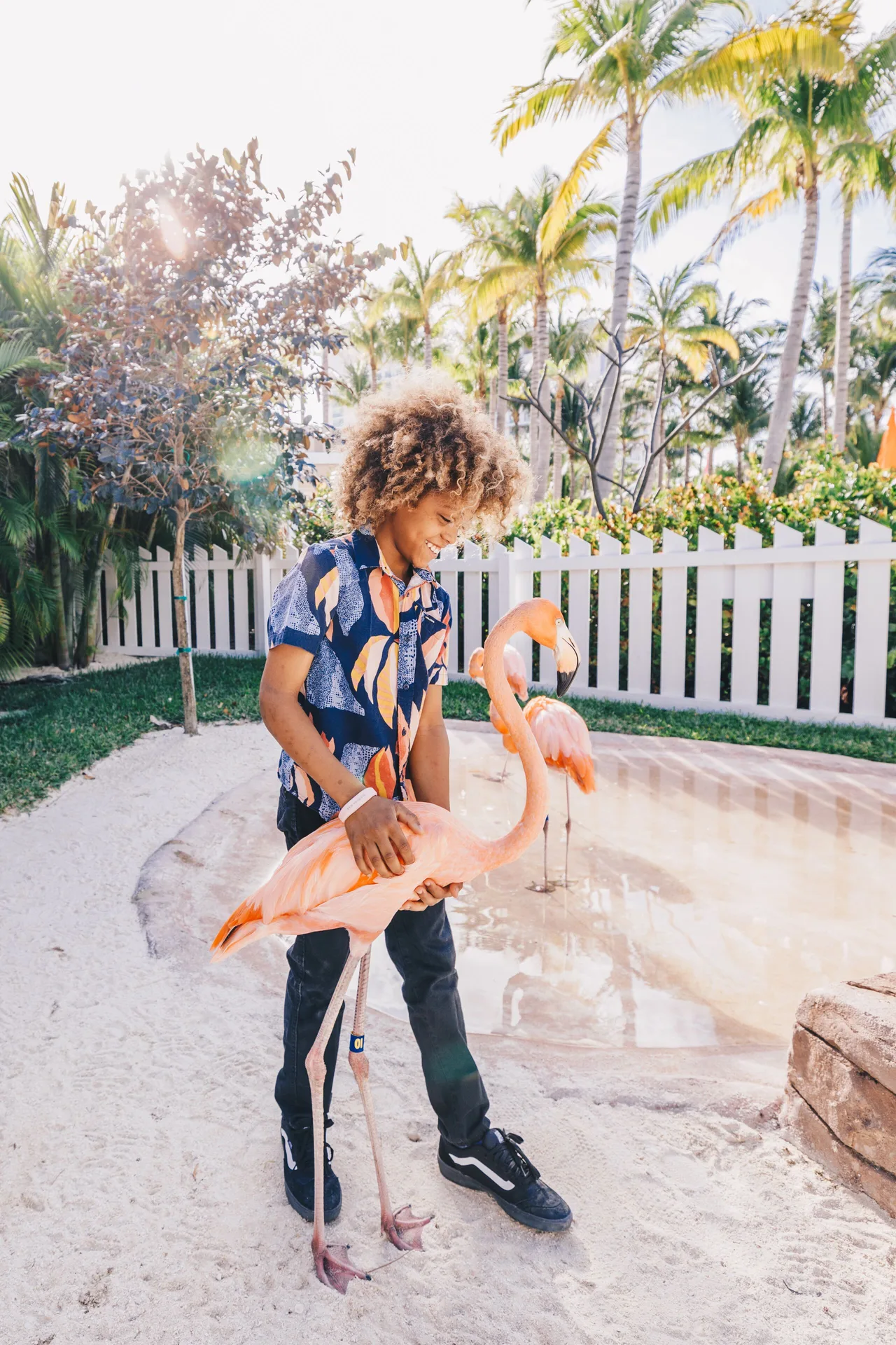 Child standing with flamingos in a tropical garden at Ardastra Gardens in Nassau.