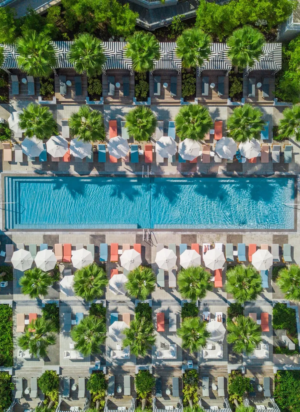 Aerial view of a palm-lined resort pool with loungers at SLS Baha Mar.