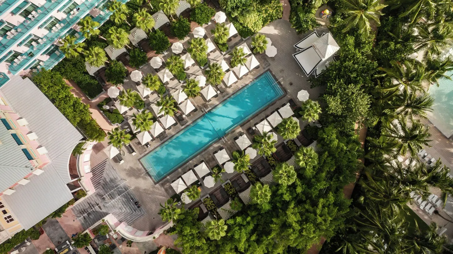 Aerial view of a rectangular pool set among palms and umbrellas at SLS Baha Mar.