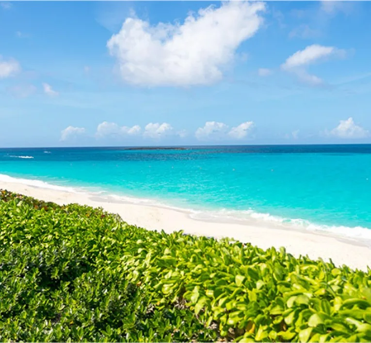 Cable Beach on-site at SLS Baha Mar