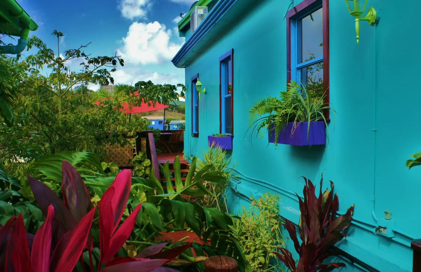 Turquoise exterior wall with purple window boxes and tropical plants at St John Inn.