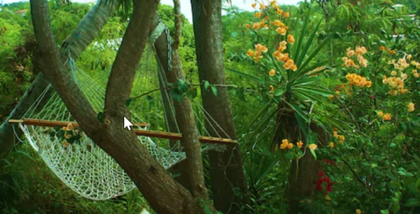 White hammock hanging among trees and flowering tropical plants at St John Inn.