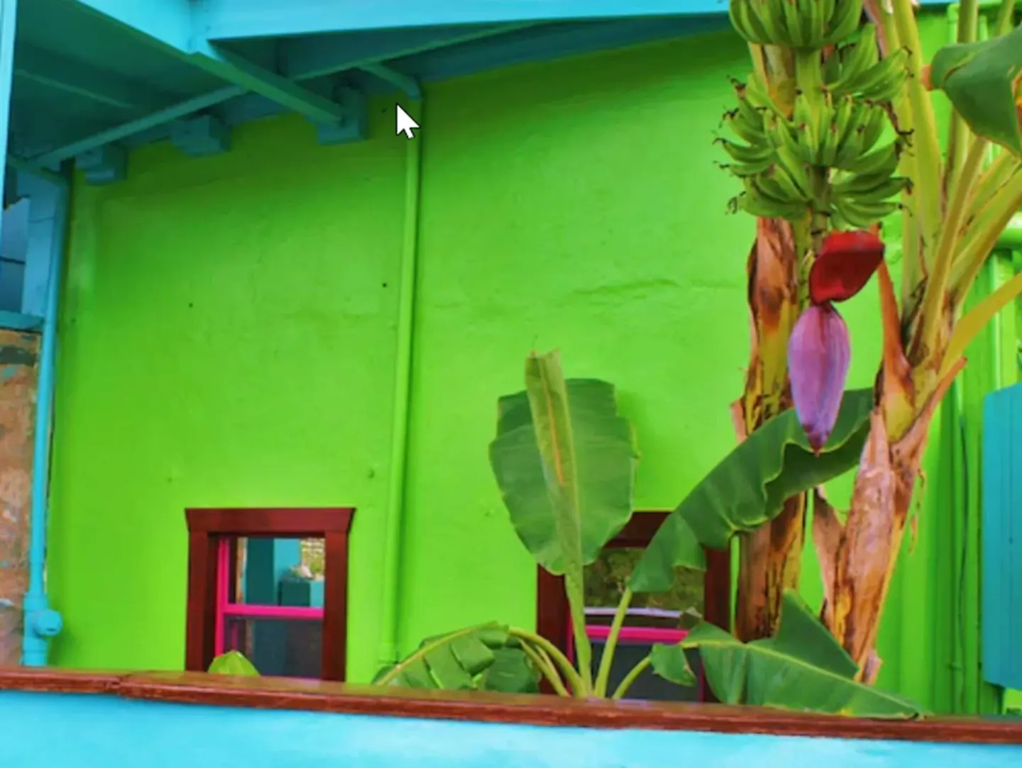 Banana plant beside lime green and turquoise exterior walls at St John Inn.