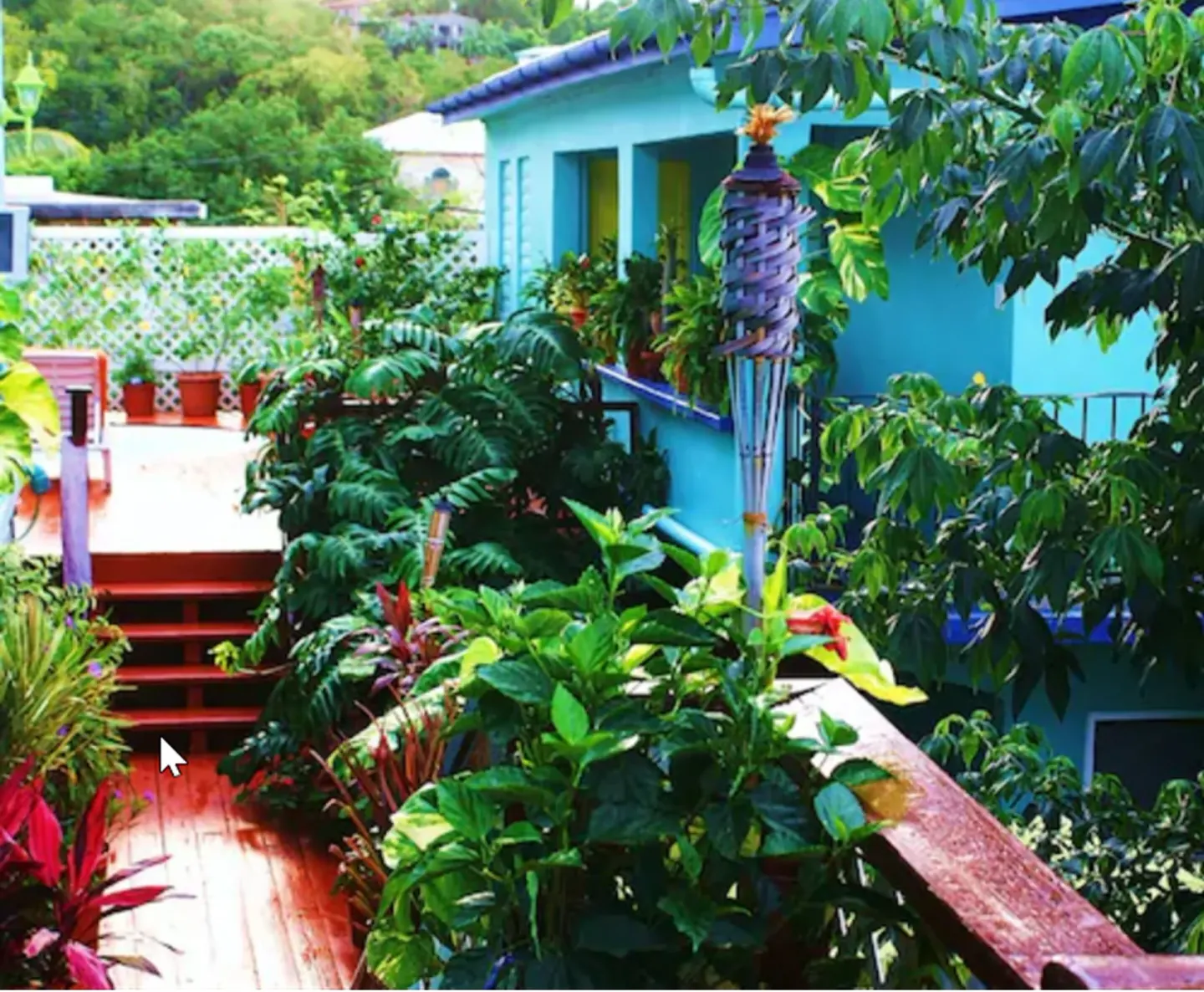 Lush deck walkway with tropical plants and a turquoise building at St John Inn.
