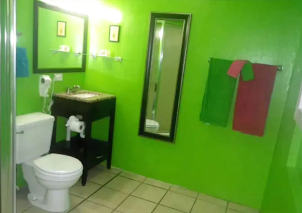 Green Standard Room bathroom with vanity, toilet, towels, and mirror at St John Inn.