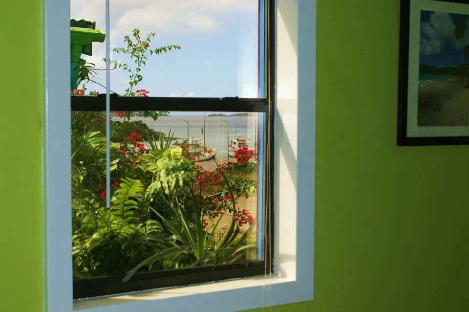 Suite window with plants outside and a water view from St John Inn.