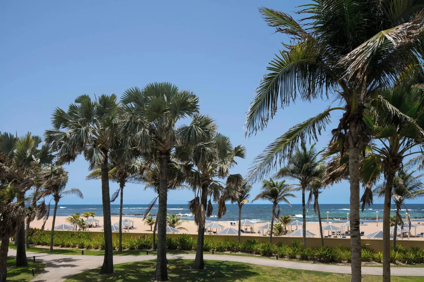 Palm-framed partial ocean view from a suite at St Kitts Marriott Beach Resort, Casino & Spa.