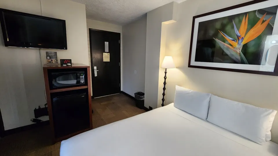 Boutique Room queen bed, TV, microwave and mini fridge at Stay Hotel Waikiki.