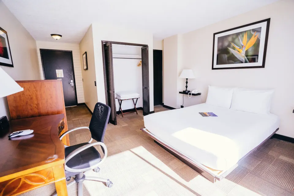 Petite Room with double bed, desk, chair, closet, and framed art at Stay Hotel Waikiki.