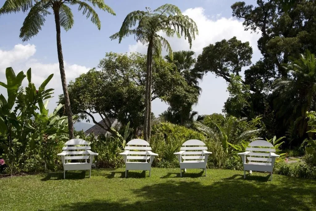 White lawn chairs face tropical gardens and tall palms at Strawberry Hill.