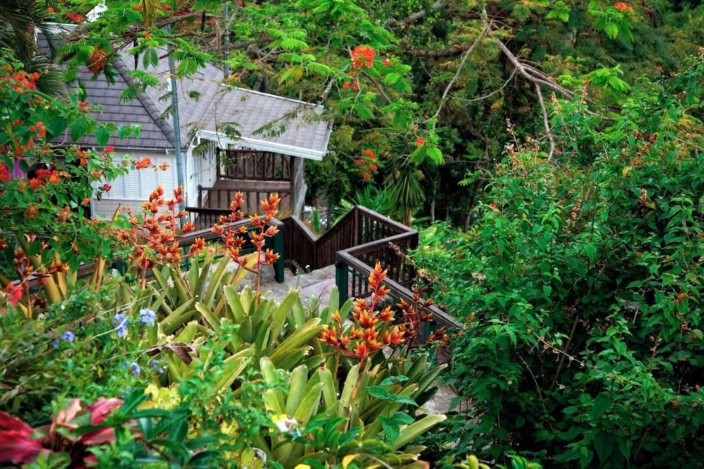 Garden path and cottage steps surrounded by tropical foliage at Strawberry Hill.