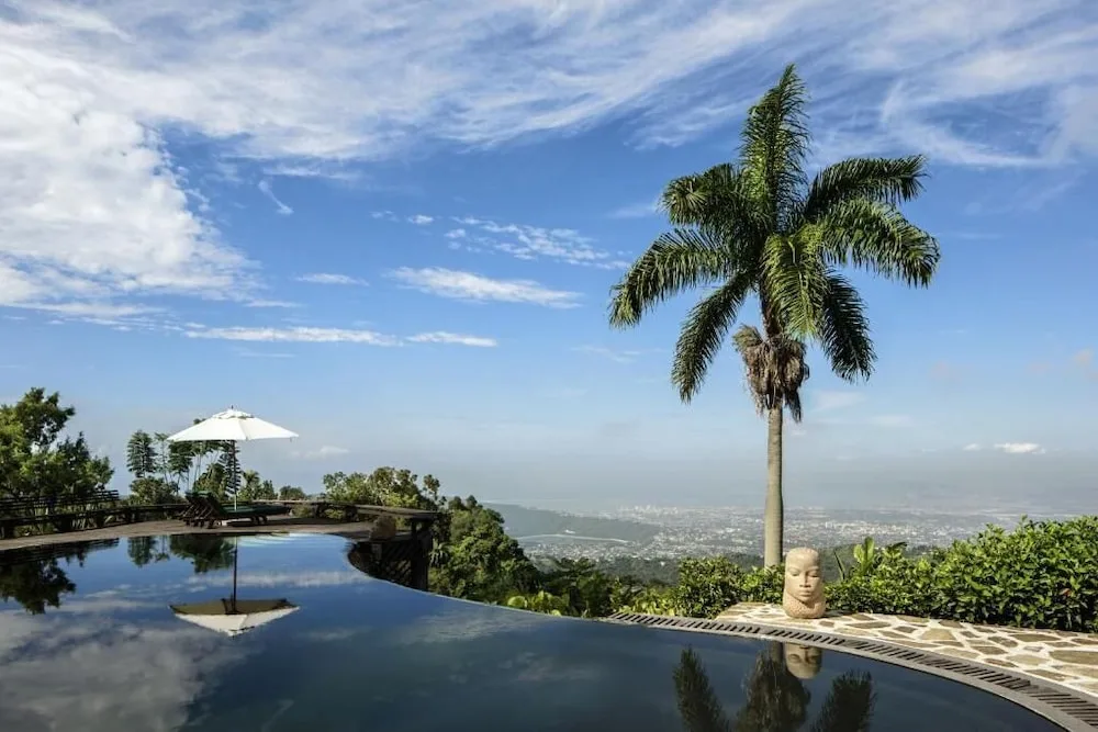 Infinity pool with palm tree and city view at Strawberry Hill.