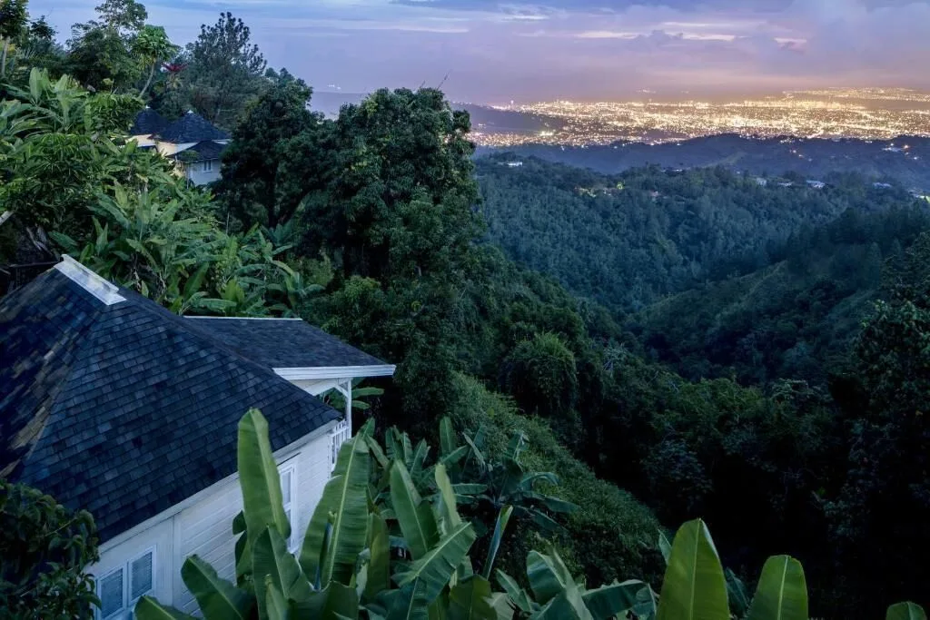 Strawberry Hill rooftops overlook a forested valley and distant city lights at dusk.