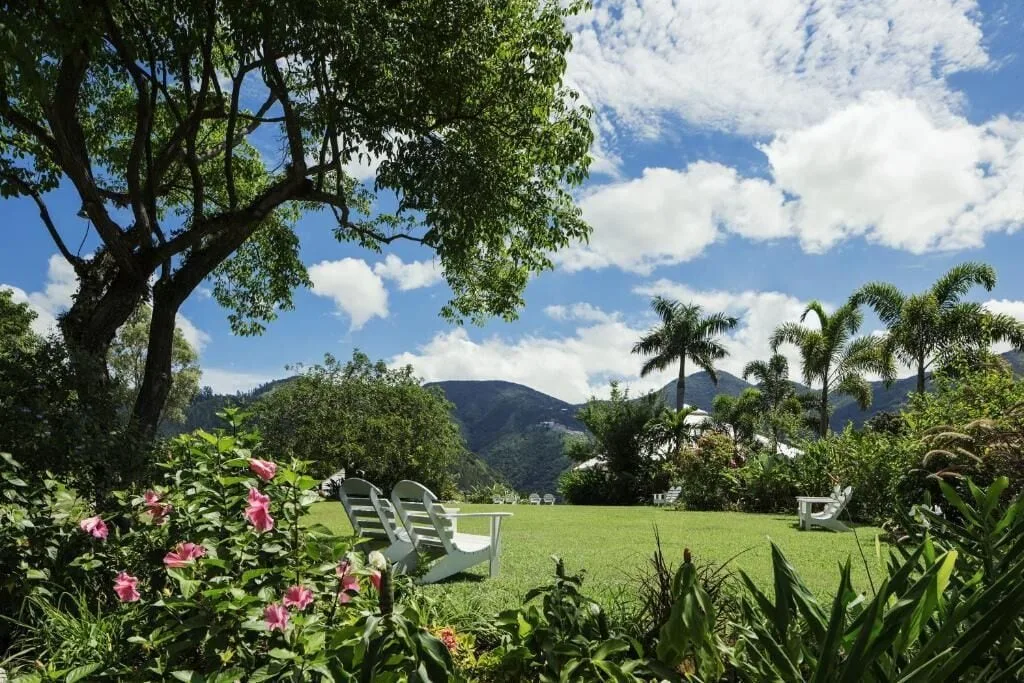 A sunny lawn with white chairs, flowering shrubs, palms, and mountain views at Strawberry Hill.
