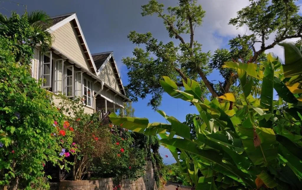 A Strawberry Hill building rises above flowering shrubs and broad tropical leaves.
