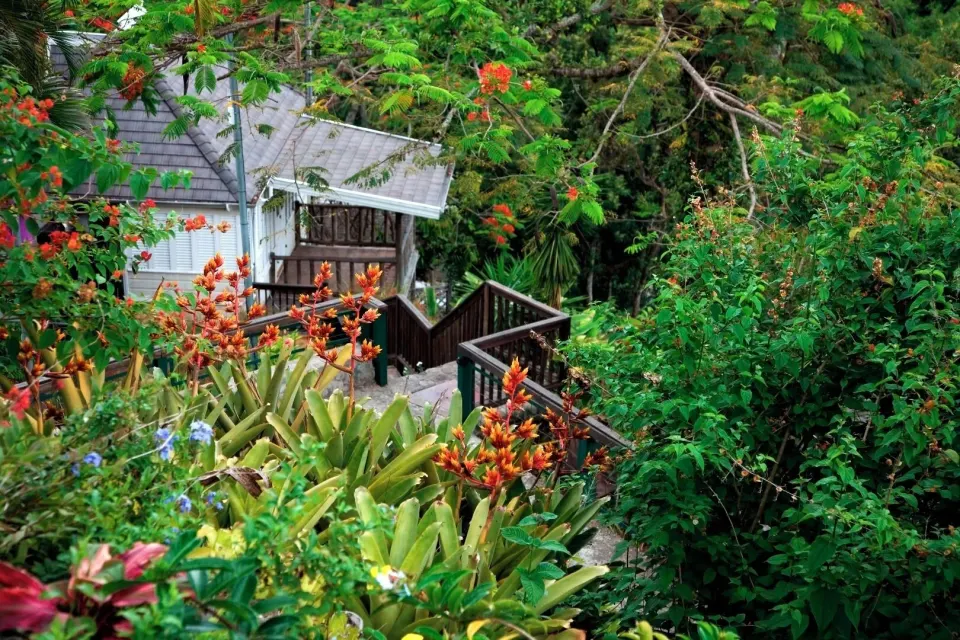 Cottage studio exterior path surrounded by tropical greenery at Strawberry Hill.