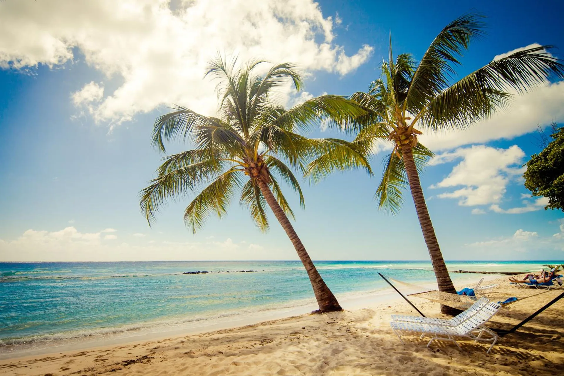 Palm trees, lounge chairs and turquoise sea on the beach at Sugar Bay Barbados.
