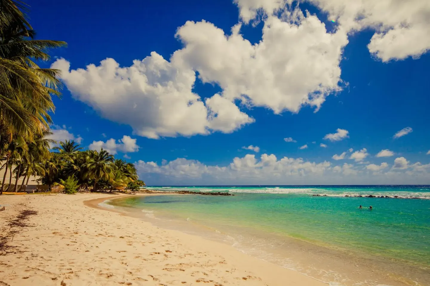 Sandy beach with turquoise water and palm trees at Sugar Bay Barbados.