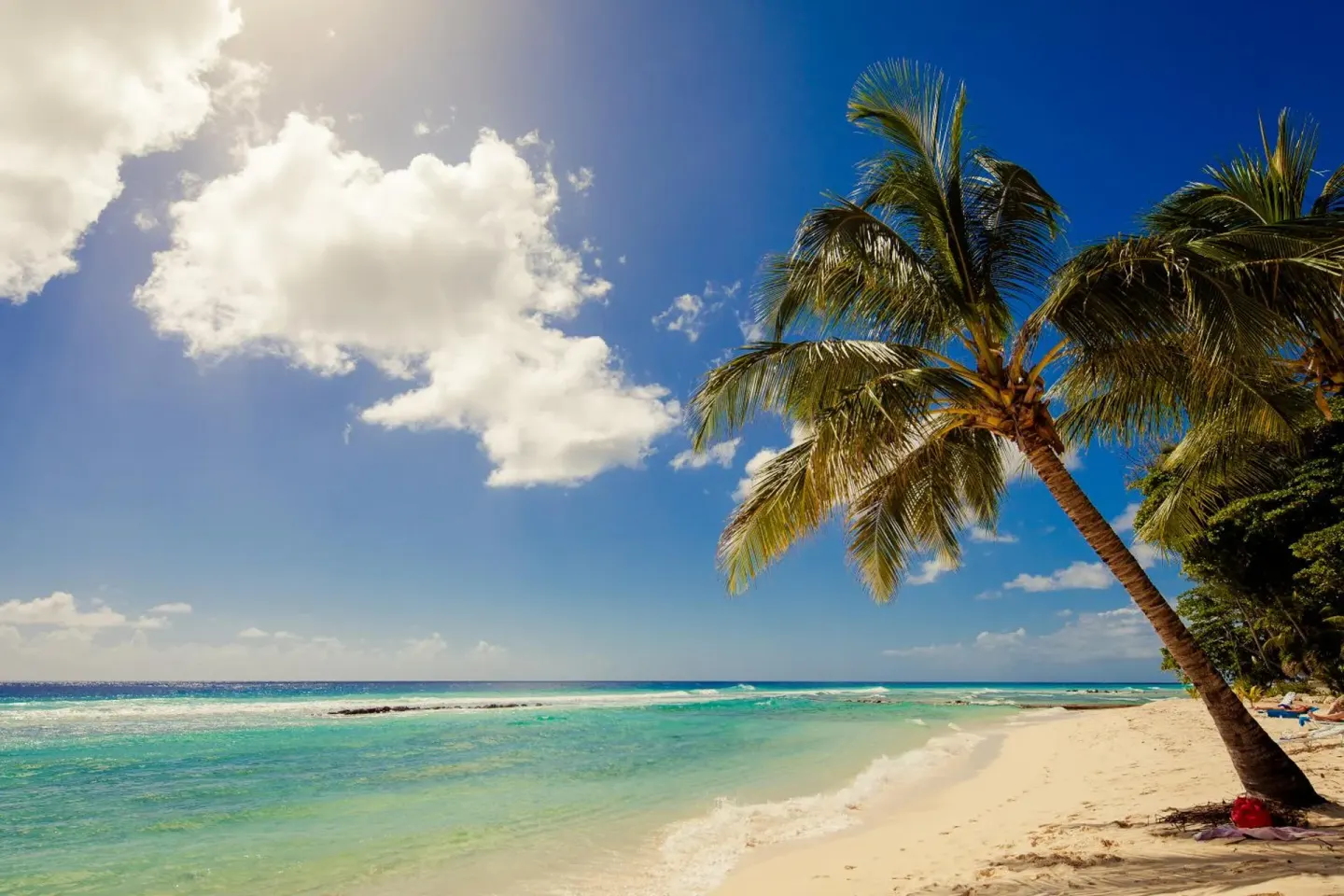 Palm-lined beach with turquoise water and blue sky at Sugar Bay Barbados.