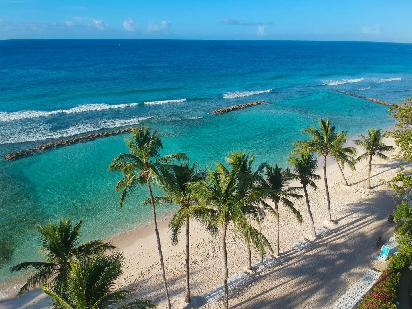 Aerial view of palm-lined beach and turquoise water at Sugar Bay Barbados.