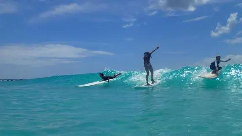 Surf In Barbados Surf School 10 Min Walk