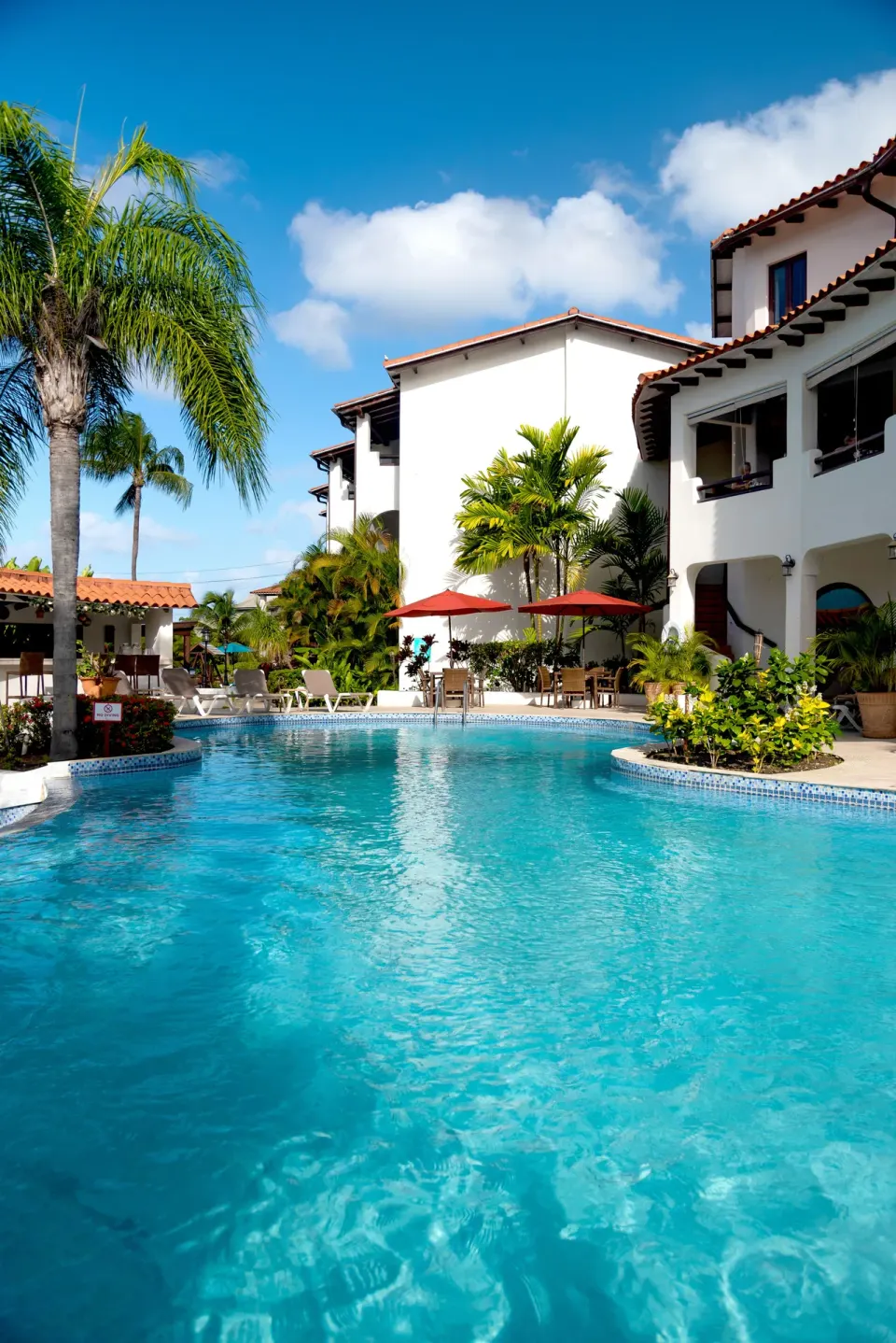 Swimming pool with palms, loungers, and white buildings at Sugar Cane Club Hotel And Spa.