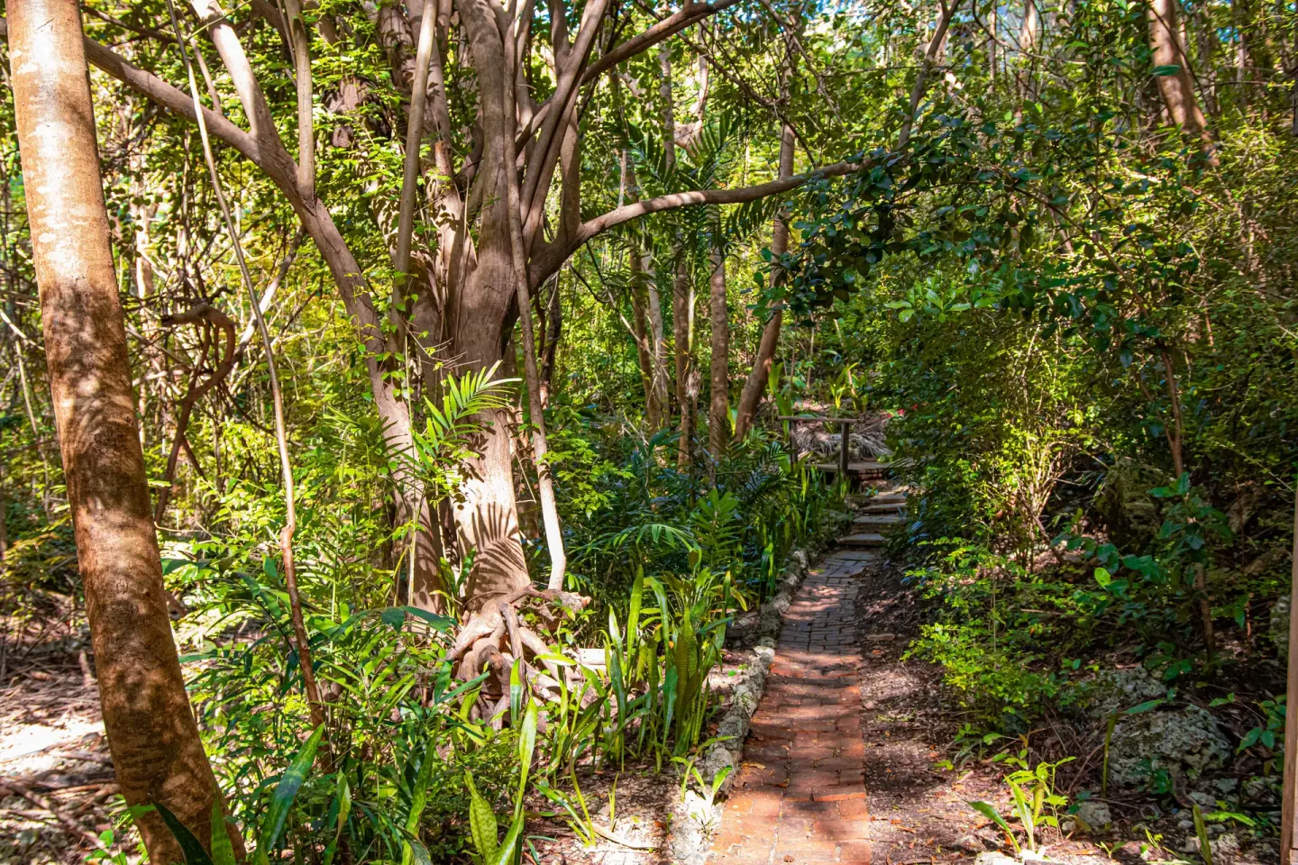 A brick garden path winds beneath tall trees at Sugar Cane Club Hotel And Spa.