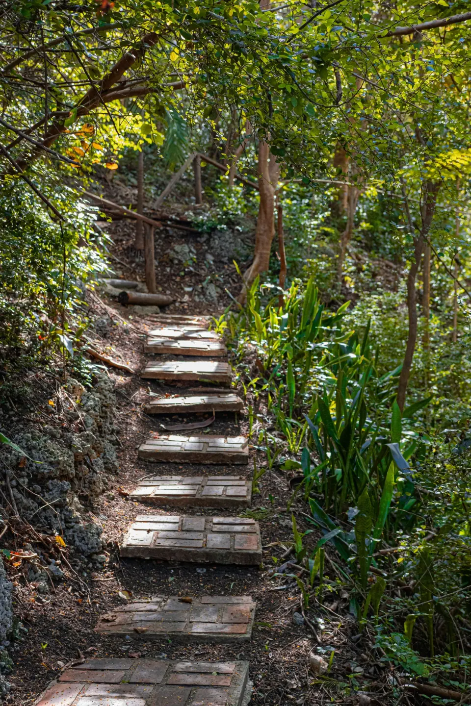 Shaded brick steps climb through tropical woodland at Sugar Cane Club Hotel And Spa.